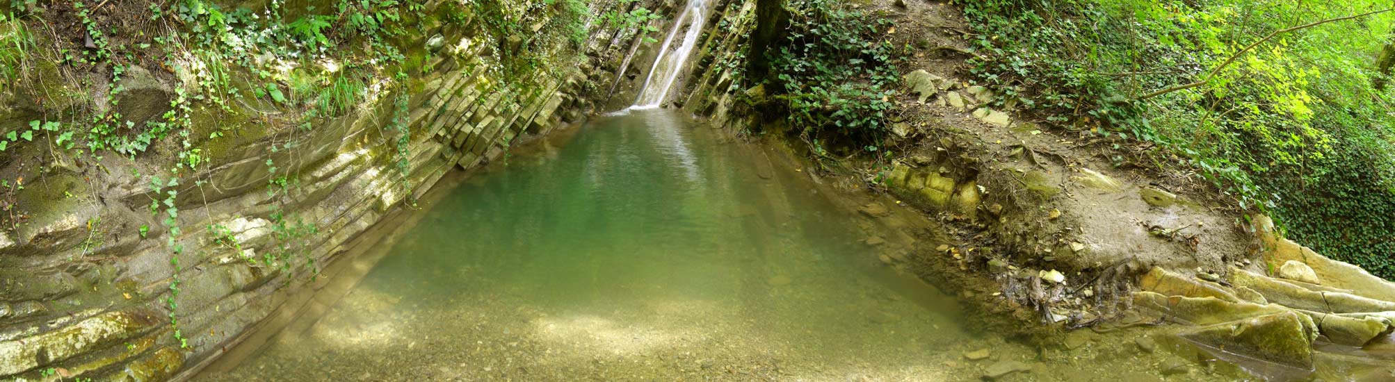 Живой бассейн - круговая панорама
